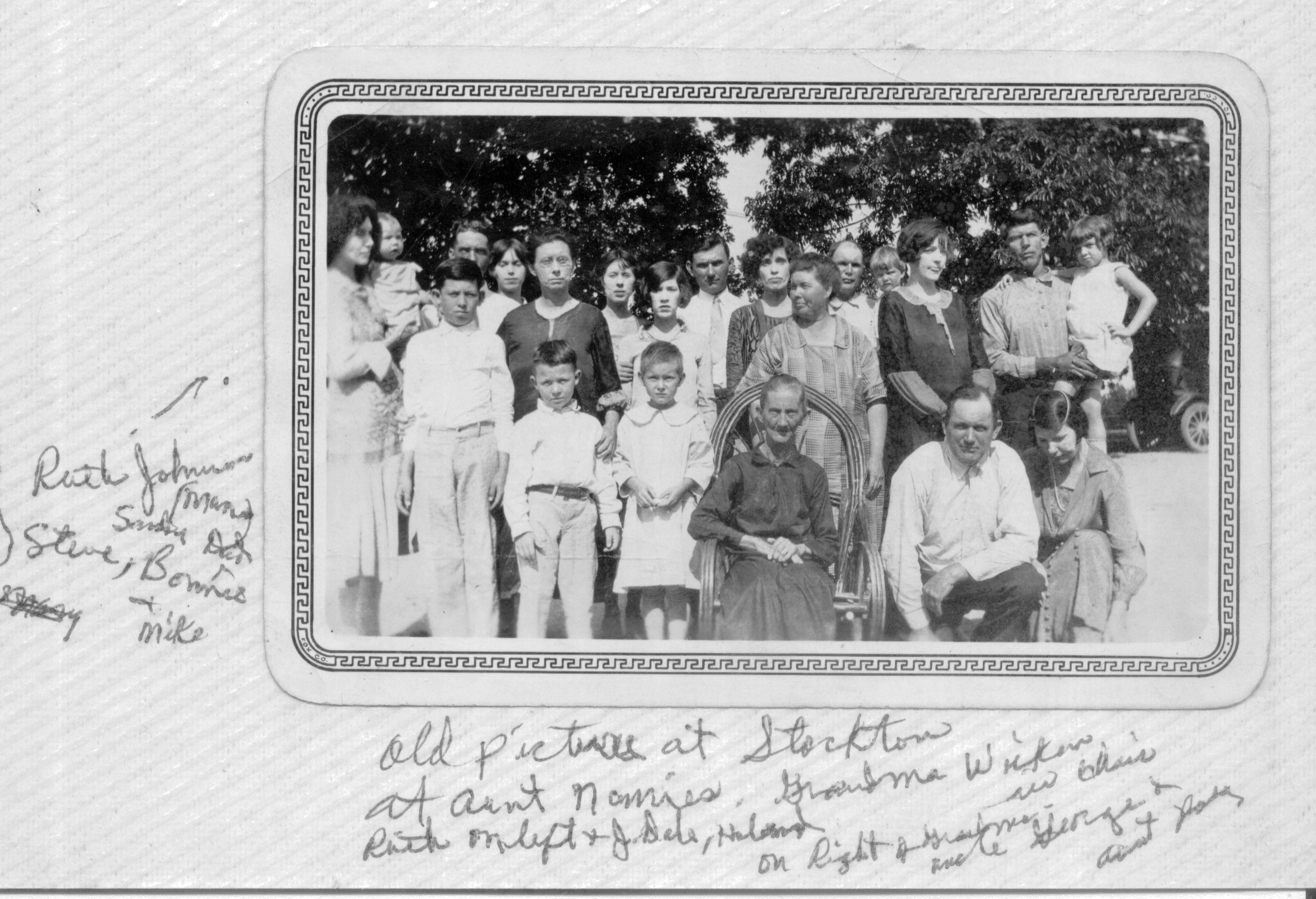 Johnson Family Tree What is the Johnson Family Tree